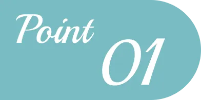 Point 01