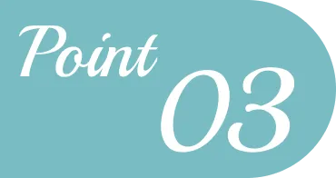 Point 03